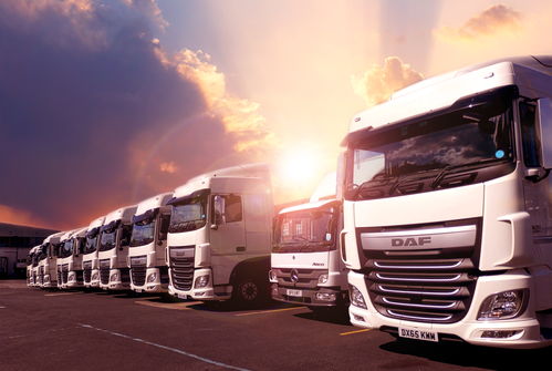 桂蒙山耕冷链储存配送点建设项目方案